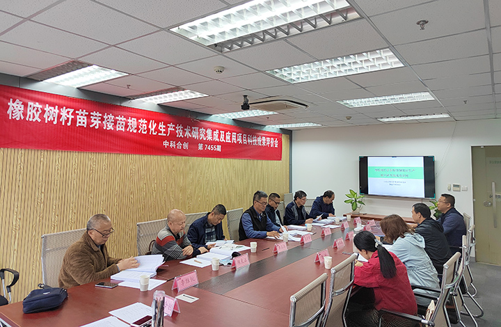 橡胶树籽苗芽接苗规范化生产技术研究集成及应用 anli.jpg